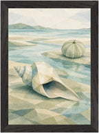 Seaglass Shore Conch and Sea Urchin, Size: A4, Frame colour: Black; supplier product preview.