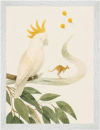 Bush Picnic Cockatoo and Kangaroo, Size: 30 × 40 cm, Frame colour: White; supplier product preview.