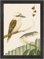 Bush Picnic Kookaburra and Skink, Size: A4, Frame colour: Black; supplier product preview.
