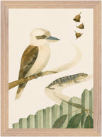 Bush Picnic Kookaburra and Skink, Size: A4, Frame colour: Wood; supplier product preview.