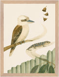 Bush Picnic Kookaburra and Skink, Size: 30 × 40 cm, Frame colour: Wood; supplier product preview.